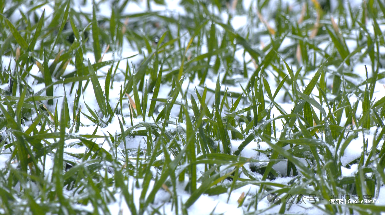 2b7ea23ab216d382c0d1d959aa1b74b9.png