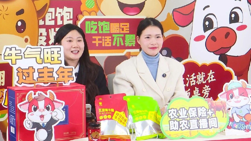 破局！利辛“农业保险+助农直播”发力，2小时狂销20万