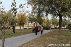 亳州网友拍秋到人间涡河美
